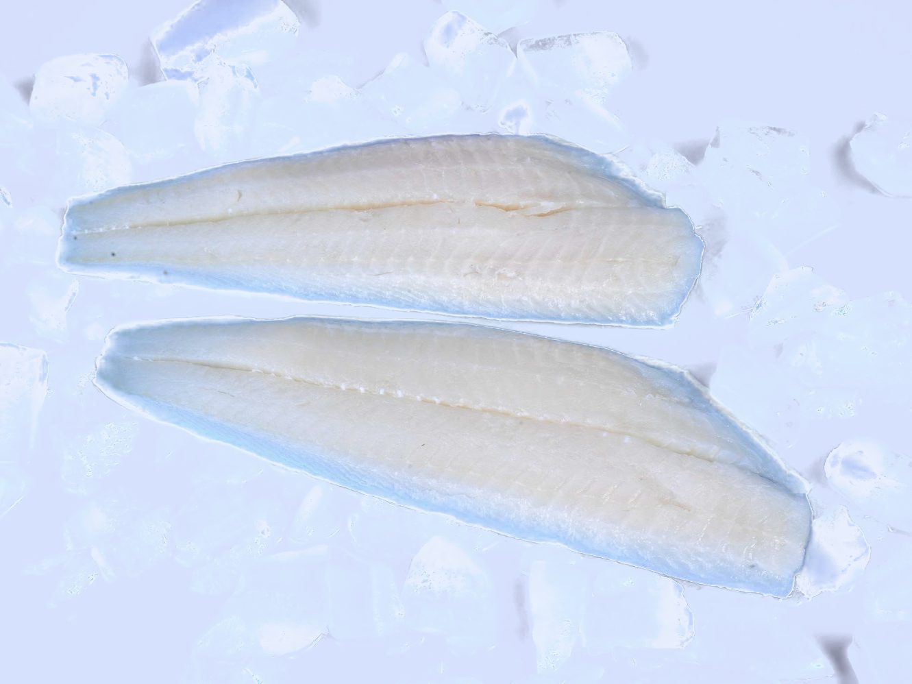 Frozen Arrow Tooth Flounder products