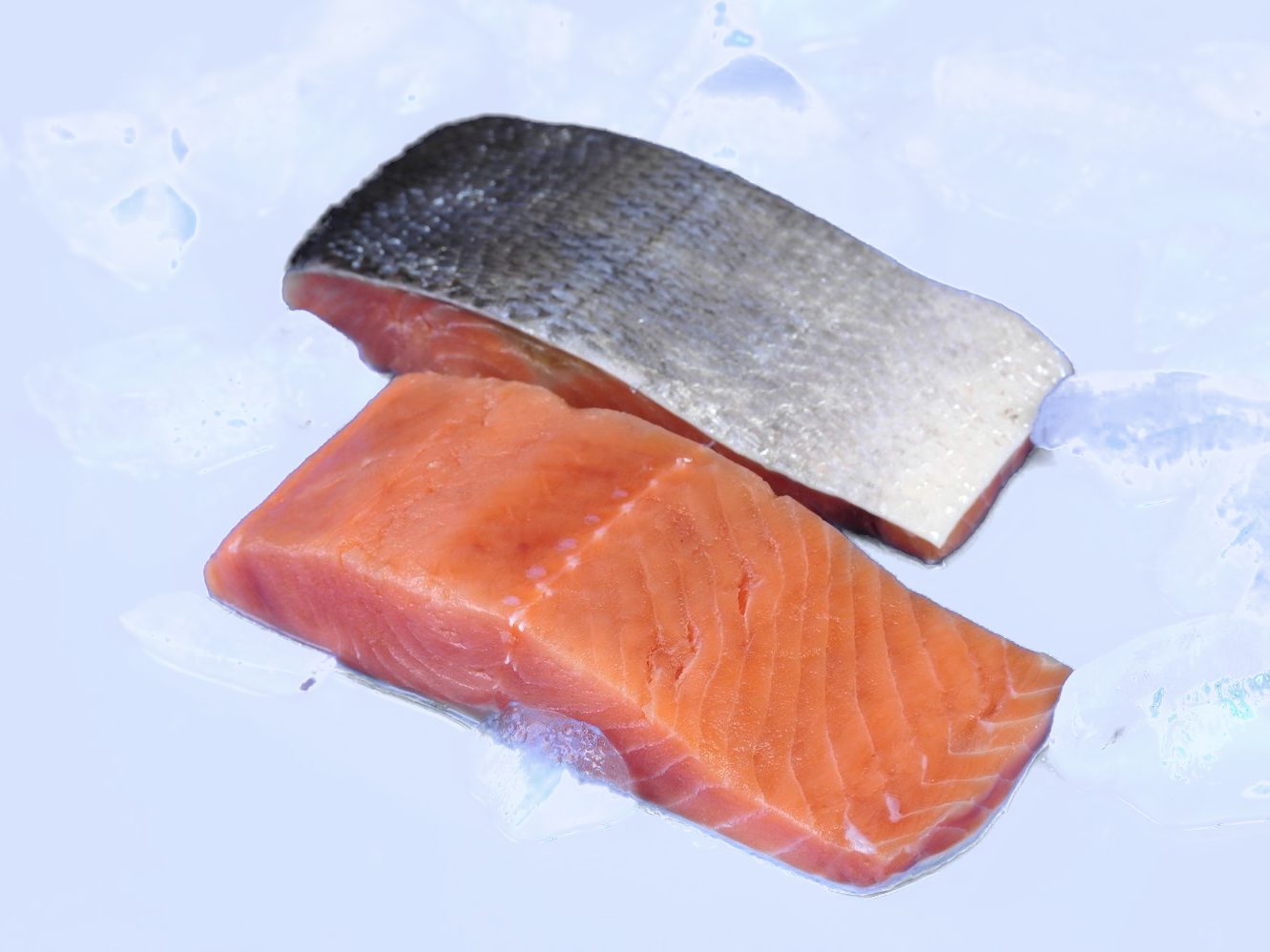 Frozen Chum Salmon products