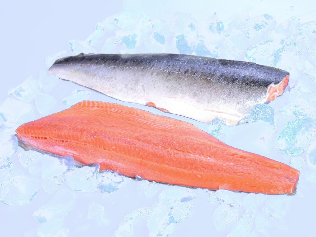 Frozen Pink Salmon products