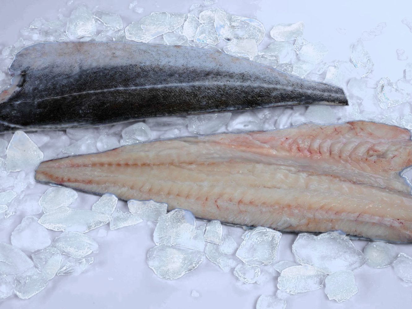 Frozen Saithe Products