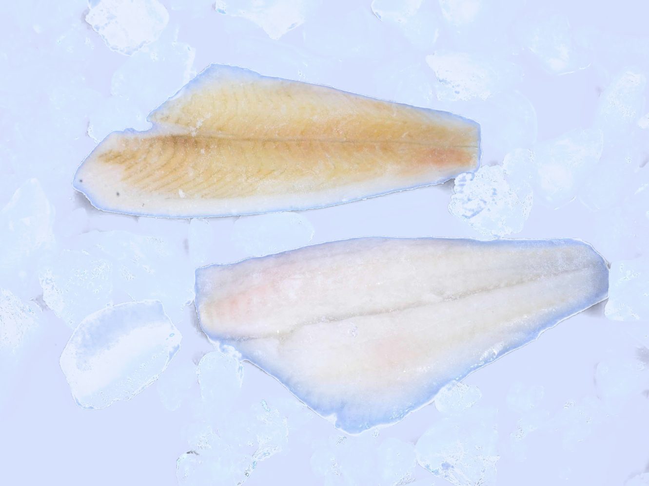 Frozen Sole products